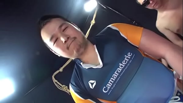 かわいい日本のクマ